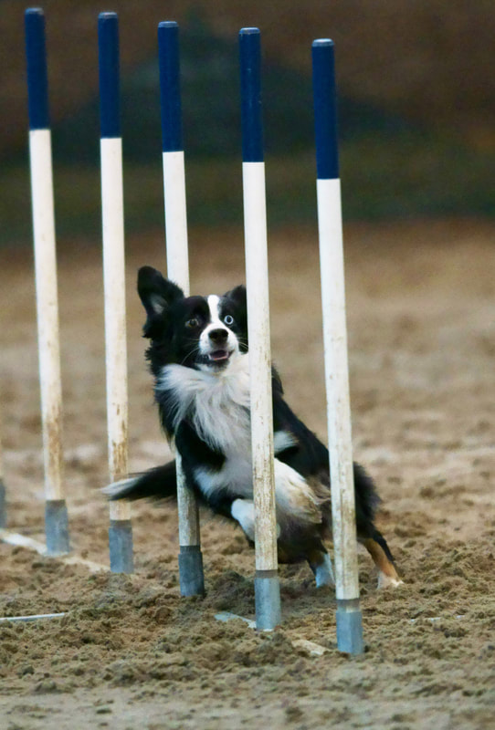 ‘beat365官网’
伟大的母亲:造就13个博士 其中一个家喻户晓 教子经却只有15字(图2) beat365亚洲体育官方网站