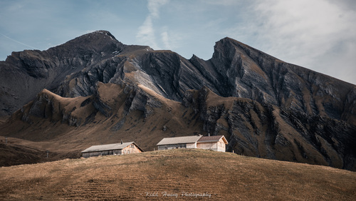 情况生态司法掩护护航“山青水绿天蓝”“beat365亚洲体育官方网站”(图1) beat·365