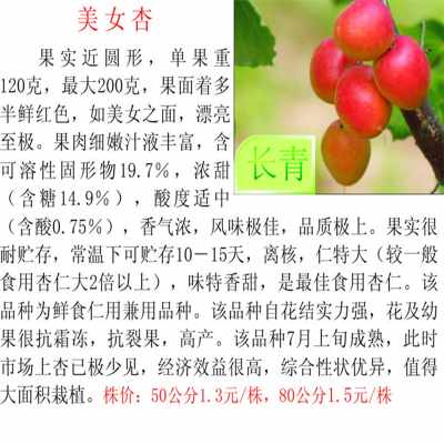 G20杭州峰会落幕全国寄递渠道未发生一起重大安全事故_beat365官网(图1) beat365官网