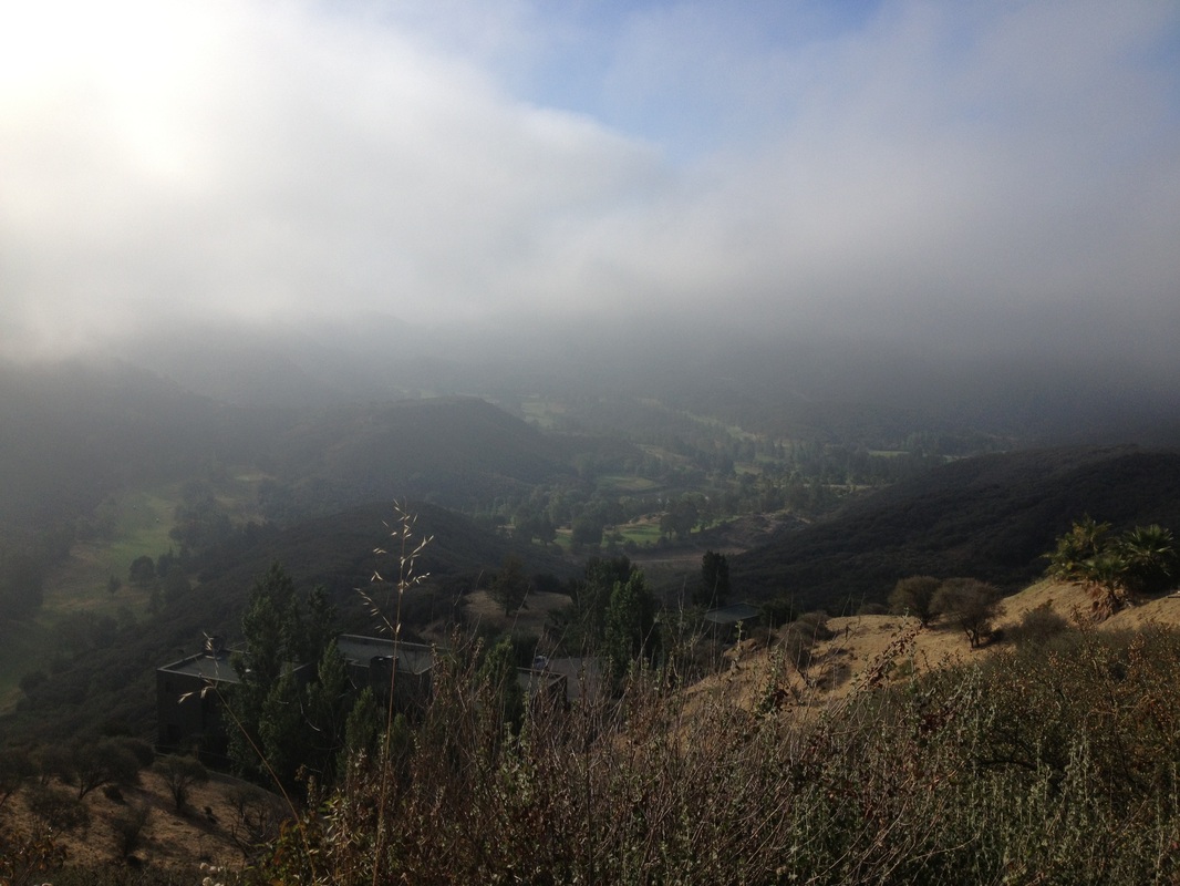 帧数由你决定 PC版《质量效应:仙女座》不锁帧:beat365亚洲体育官方网站(图2) beat365亚洲体育官方网站