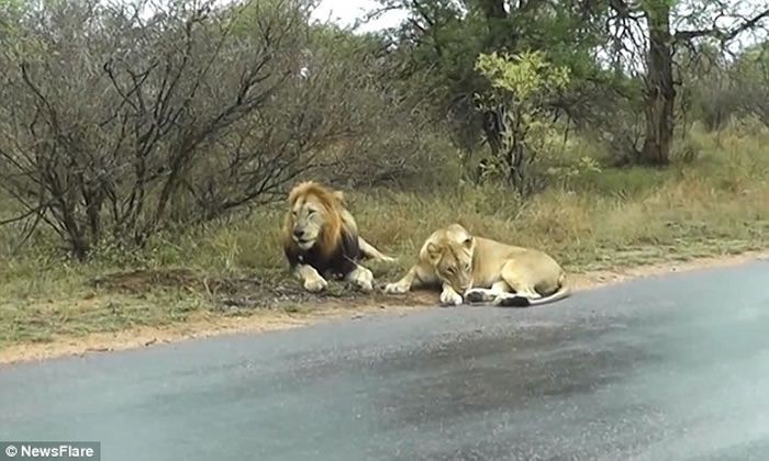 Steam周销榜 《孤岛惊魂5》终结《绝地求生》连冠-beat·365(图1) beat365亚洲体育官方网站