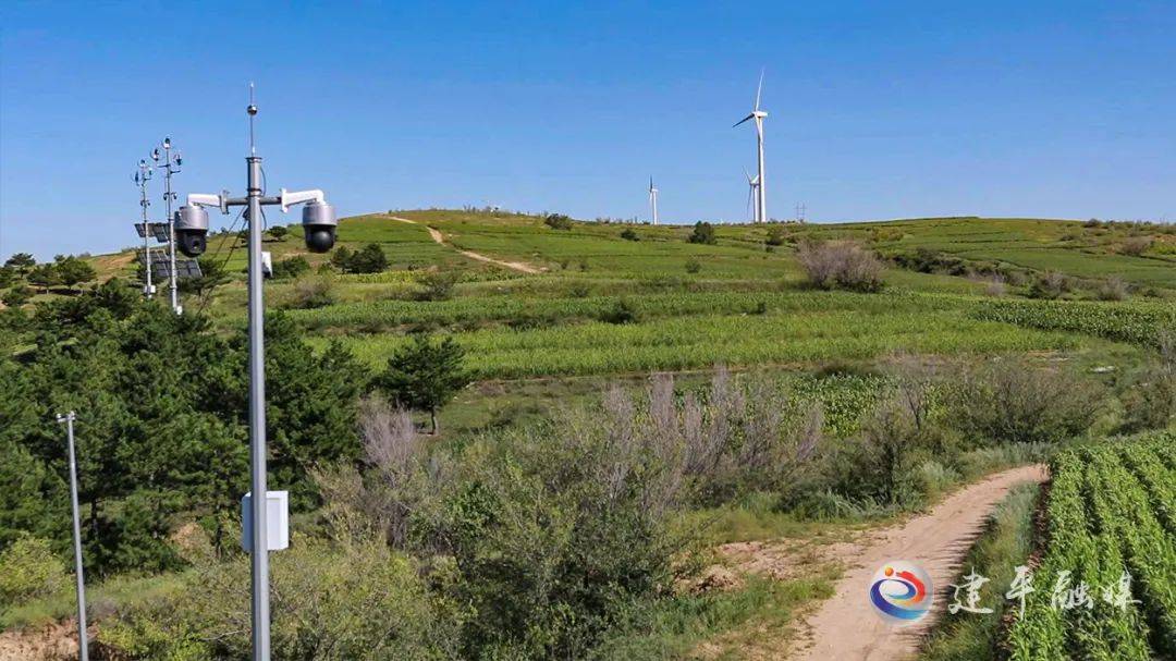 beat·365-
建平县生态情况局：增强巡查羁系 改善生态情况(图7)