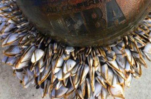 beat·365_社区O2O或成智能快递柜盈利新方向(图3) beat365官网