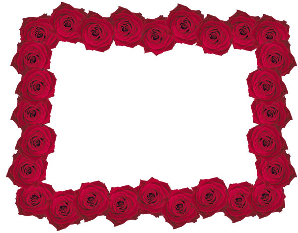 生态环境部部署防控重点湖库蓝藻水华_beat365官网(图4) beat365官网