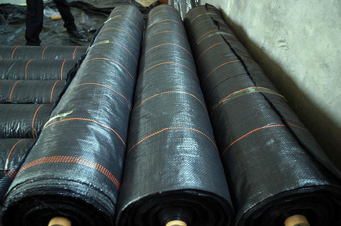 冲在最前线!圆通大叔170公里的“返岗”之路|beat365官网(图1) beat·365