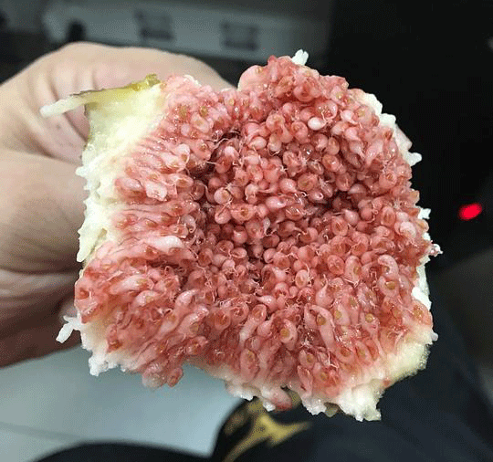 马鞍效应凸显2月快递量下降15.2%‘beat365官网’(图4) beat365官网