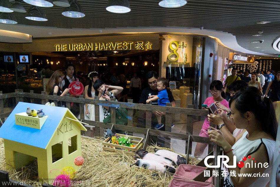 生态环境部通报2018-2019年蓝天保卫战重点区域强化监督情况(2019年1月25日):beat365亚洲体育官方网站(图4) beat·365