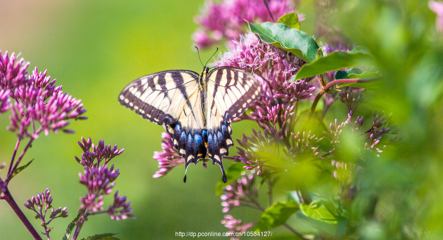 春夏秋冬 各有韵味 《波西亚时光》——季节揭秘【beat365亚洲体育官方网站】(图2) beat365官网
