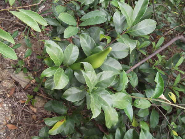 beat·365:物流消失 20万元货款也消失了(图2) beat365亚洲体育官方网站