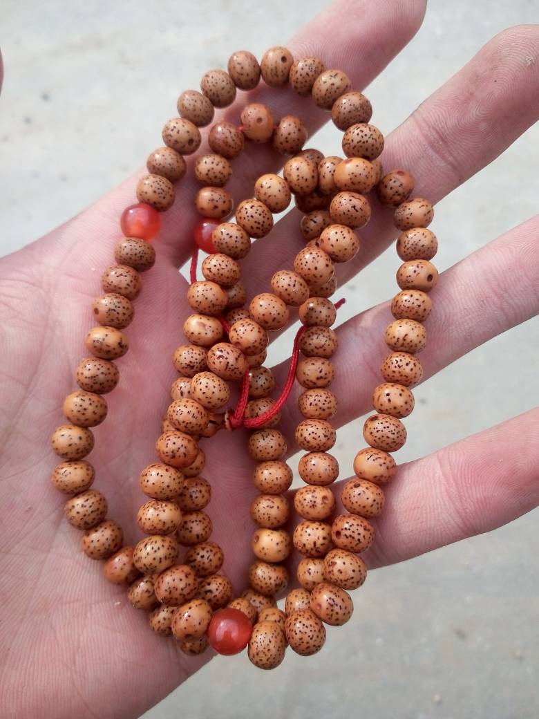 全国净滩公益运动大连启动掩护季行动【beat365亚洲体育官方网站】(图1) beat·365