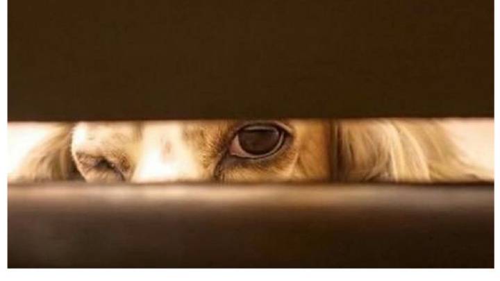 beat365亚洲体育官方网站