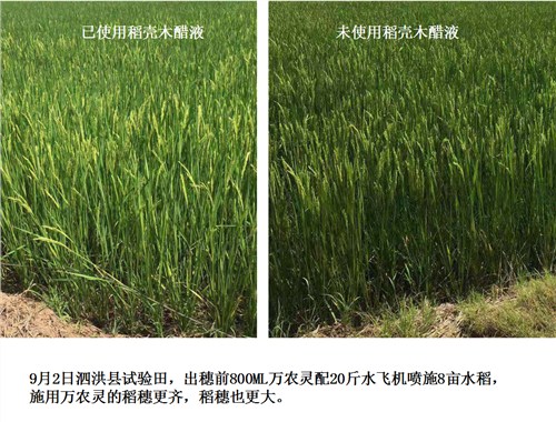 beat365亚洲体育官方网站