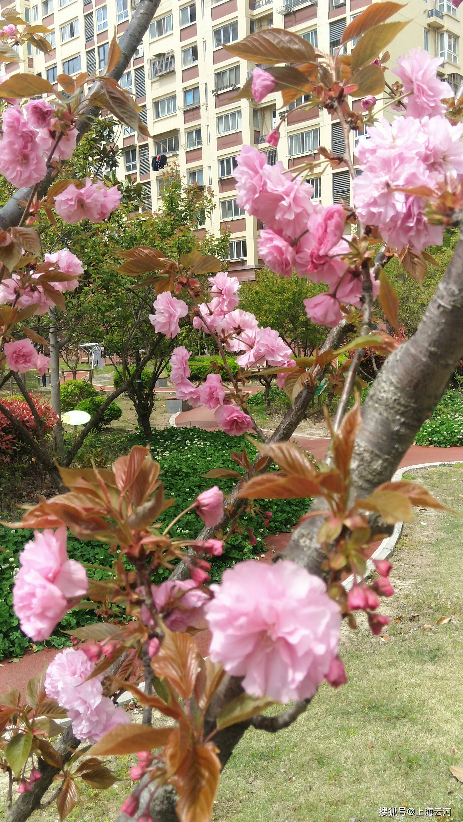 
情况优美的居住小区（8）_beat365亚洲体育官方网站(图10)