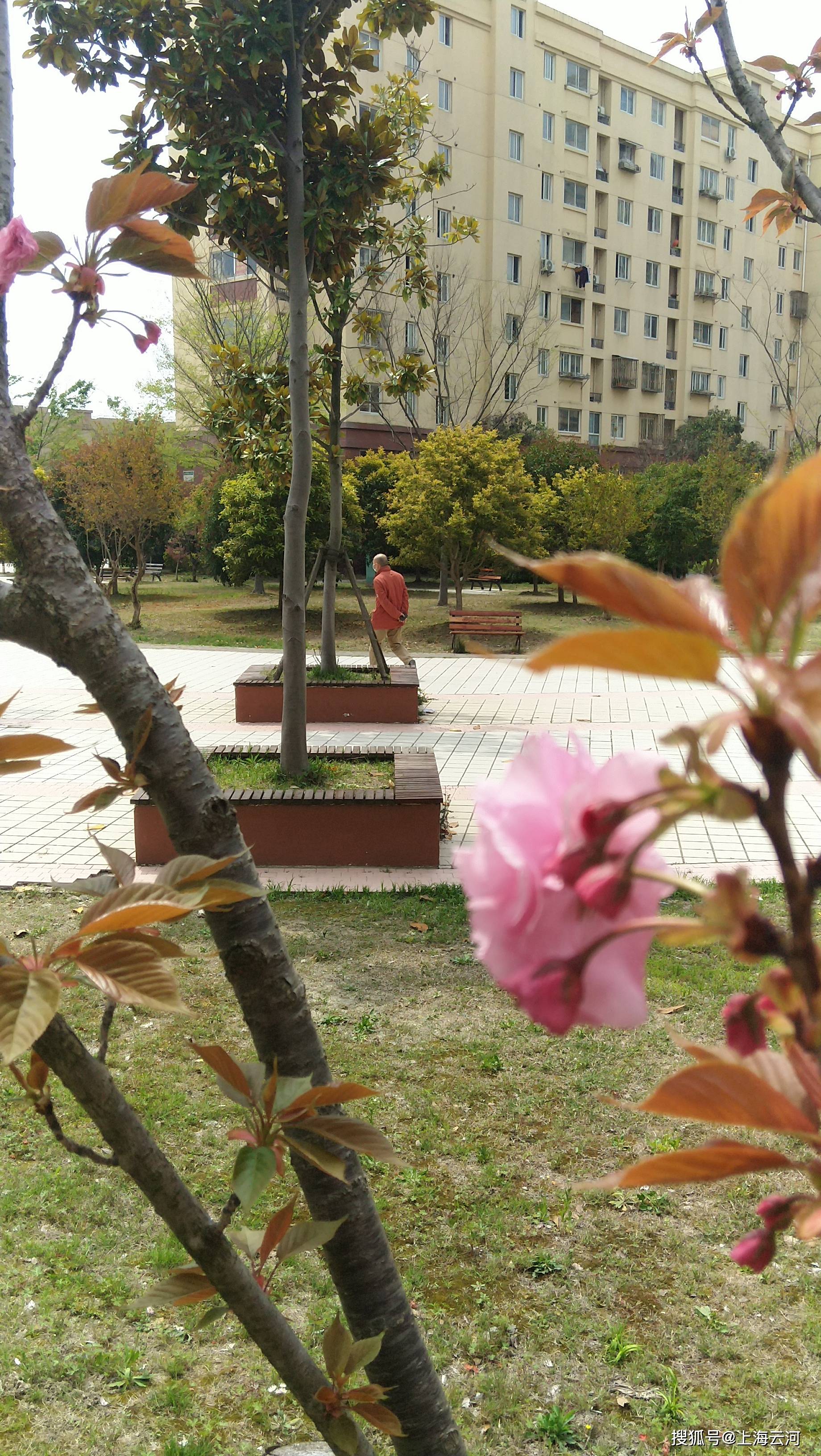 
情况优美的居住小区（8）_beat365亚洲体育官方网站(图12)