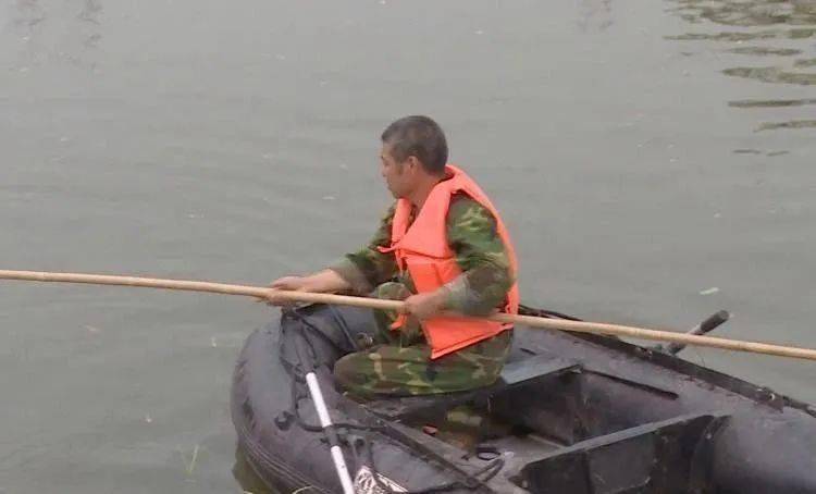 
绿色中江【beat·365】(图1)