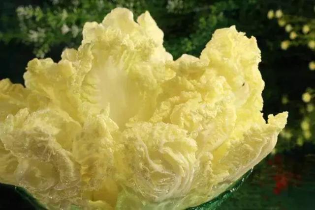 地球卫士奖:厉害了,蚂蚁森林!【beat365官网】(图2) beat365亚洲体育官方网站