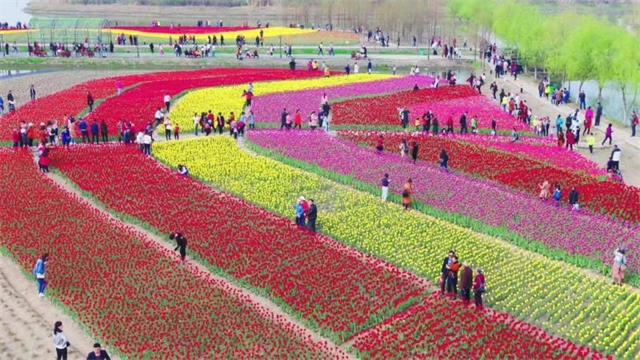 【beat365官网】院士力挺!核能清洁供暖迎来最佳窗口期(图1) beat·365