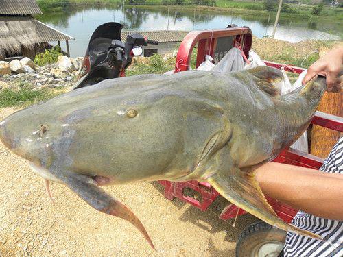 “beat·365”经典名著中的60个名言警句(图2) beat365官网