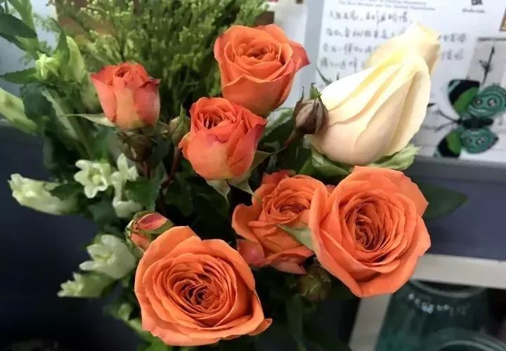 G胖回应玩家提问 成人游戏需要正确的传播渠道:beat365亚洲体育官方网站(图1) beat365官网