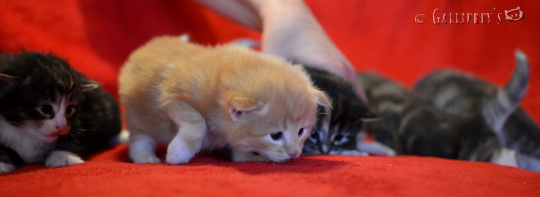 beat365亚洲体育官方网站