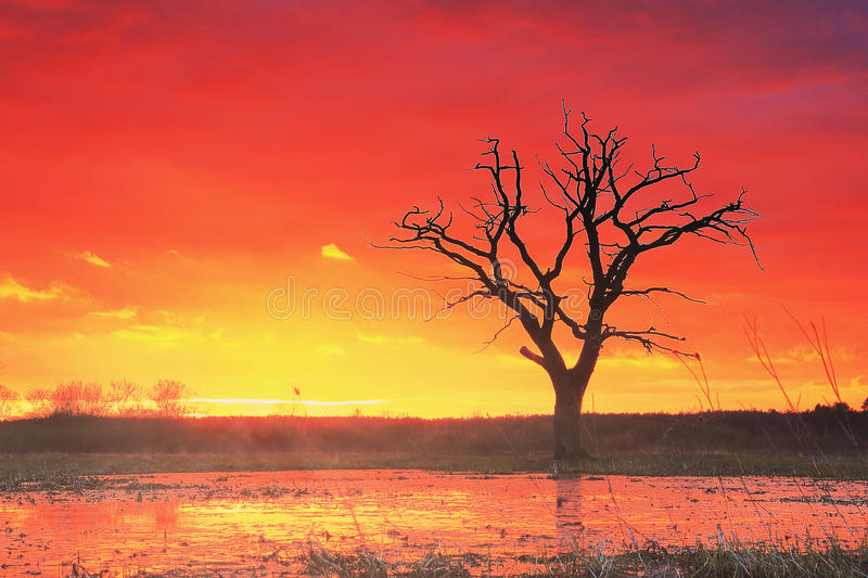 beat365亚洲体育官方网站:天津市邮政局召开全市寄递安全六项保障制度专题工作会(图2) beat365亚洲体育官方网站