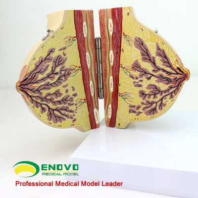 湖南常宁市沙水河长王一花巡河 要求建立长效机制【beat365亚洲体育官方网站】(图2) beat365官网