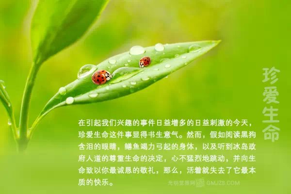 beat365亚洲体育官方网站:改善快递员工作环境!2018邮政业更贴近民生实事(图1) beat·365