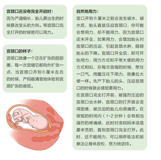 北京邮政管理局审议通过邮政市场监管工作简政放权意见“beat365亚洲体育官方网站”(图4) beat365官网