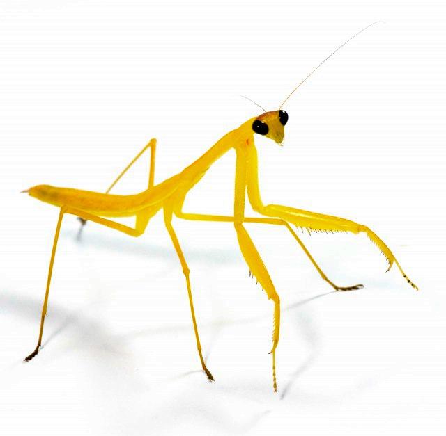 ‘beat365亚洲体育官方网站’主线科技完成A轮融资,隐山资本和蔚来资本联合领投(图3) beat·365